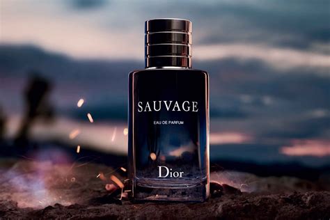 salvage for men by dior|Dior sauvage best price.